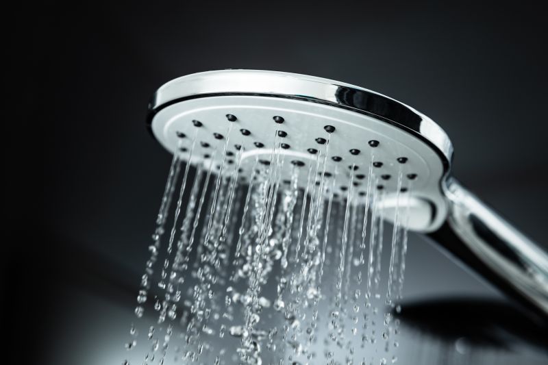 Multi-Function Shower Head
